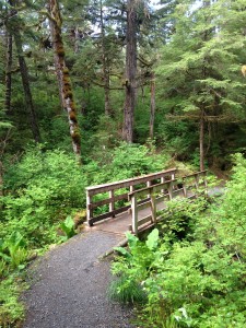 Bridge on Trail on Ketchikan Rainforest Tour